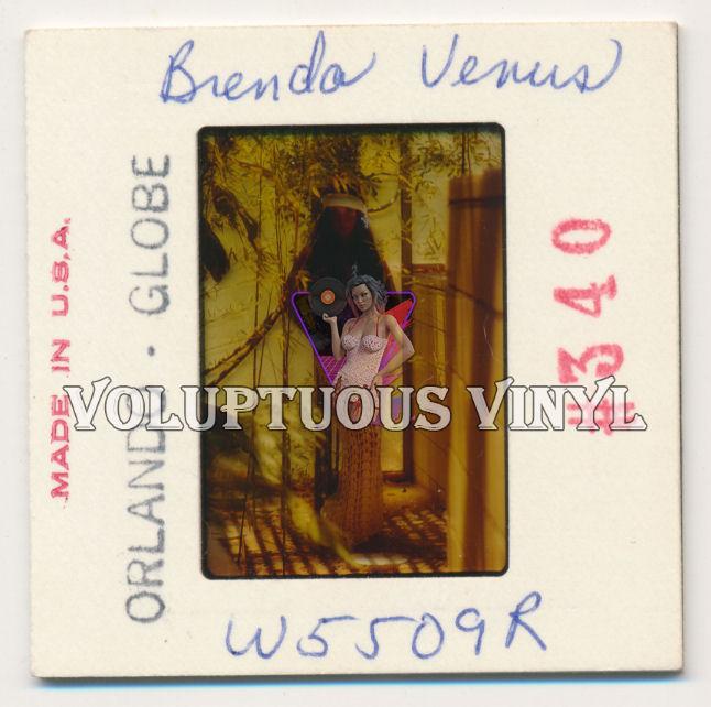 Brenda Venus Topless